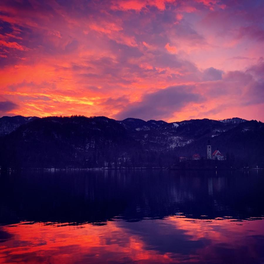 Status Apartments Bled Dış mekan fotoğraf