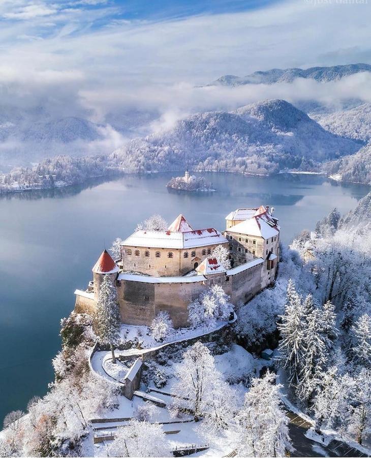 Status Apartments Bled Dış mekan fotoğraf